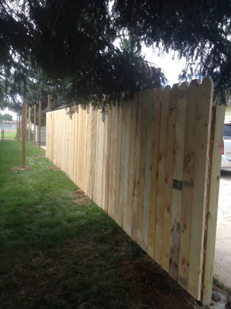 Fence 00