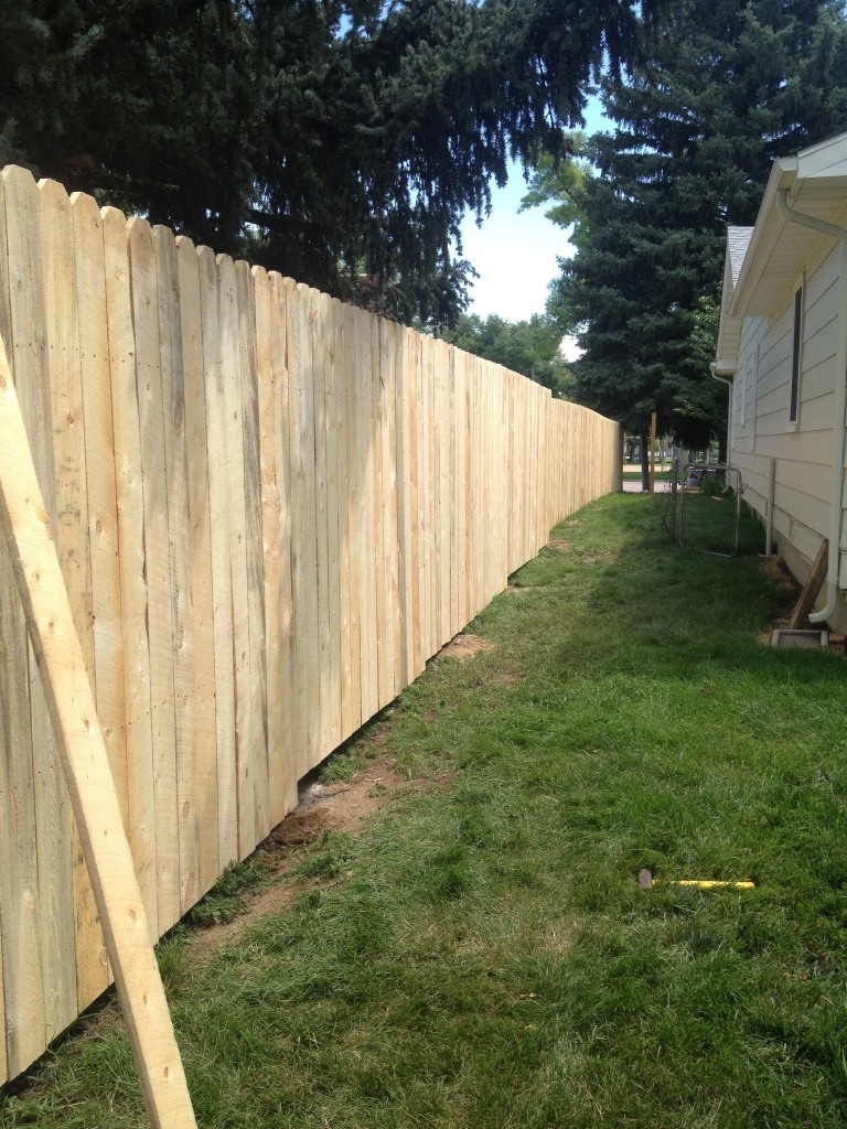 Fence 02