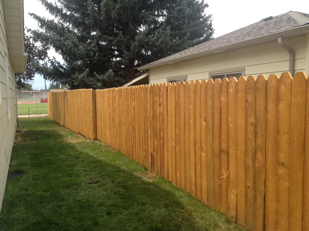 Fence Staining Before and After